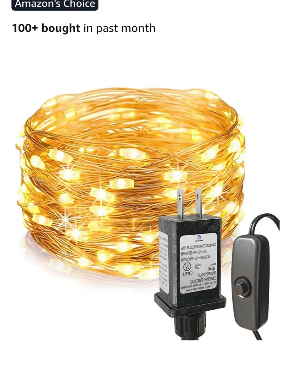 Warm White Copper Wire Fairy String Lights with Inline Switch